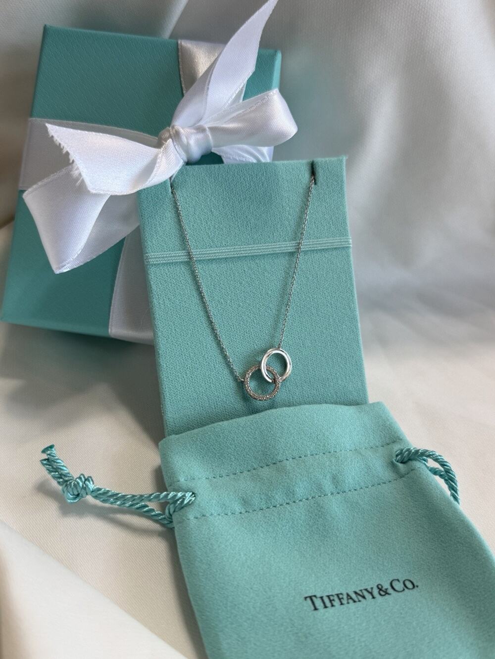 Tiffany & Co. 18K White Gold And Diamonds Interlocking Circles Pendant Necklace